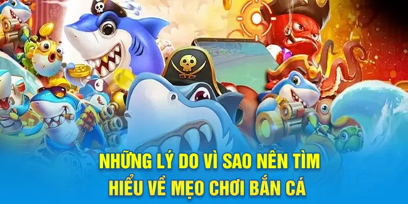 Những lý do vì sao nên tìm hiểu về mẹo chơi bắn cá